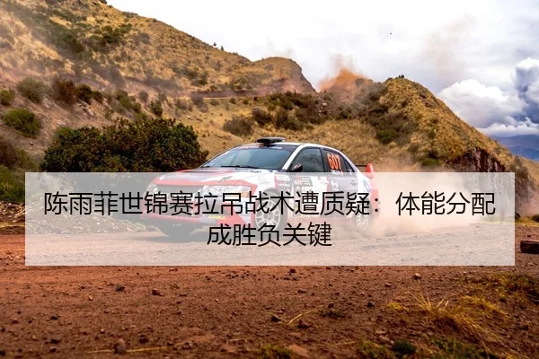 陈雨菲世锦赛拉吊战术遭质疑：体能分配成胜负关键